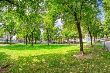 Naklejka na ściany i meble Beautiful trees in a city park, summer season
