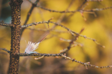 Dry fly on the background of the river. Fly fishing.
