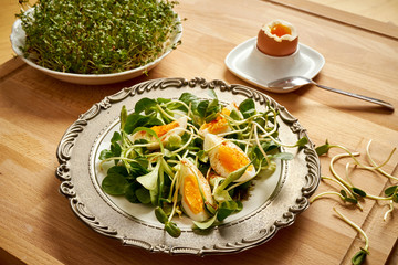 Spring and Easter breakfast with boiled eggs and cress sprouts with sprouts on wooden background