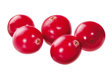 Cranberries freigestellt