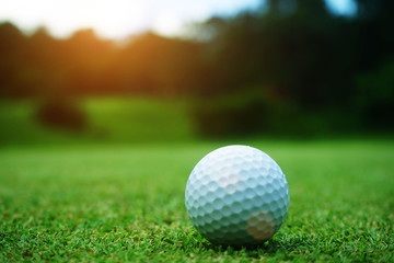 golf ball close up in grass field with sunset. Golf ball close up in golf coures at Thailand