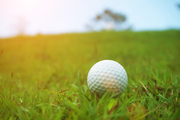 golf ball close up in grass field with sunset. Golf ball close up in golf coures at Thailand