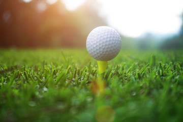 golf ball on tee close up in grass field with sunset. Golf ball close up in golf coures at Thailand