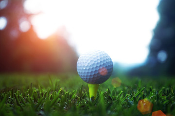 golf ball close up in grass field with sunset. Golf ball close up in golf coures at Thailand