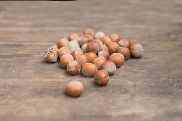 Hazelnut nuts