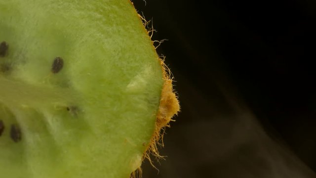 Juicy kiwi fruit in the cut and smoke, freshness and coolness comes from the kiwi, close-up, copy space, 4K