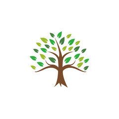 Obraz premium Tree icon design template vector illustration