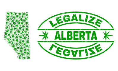 Vector marijuana Alberta Province map collage and grunge textured Legalize stamp seal. Concept with green weed leaves. Concept for cannabis legalize campaign.