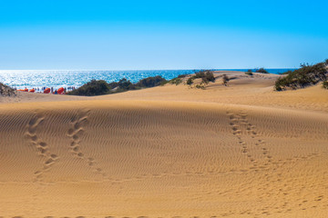 Dünen von Maspallomas, Gran Canaria