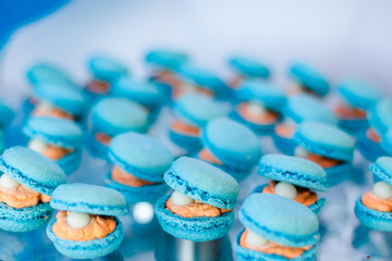 Candy bar, contains fruits, cup cakes, chocolate and another sweet desserts on the wedding. Banquet service. Catering buffet style. Macaroons.Macaron.