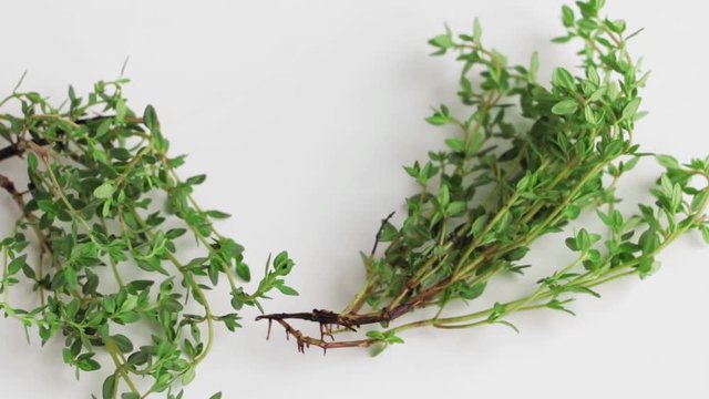 Fresh green thyme twigs on white table. Selective focus. Slow pan.