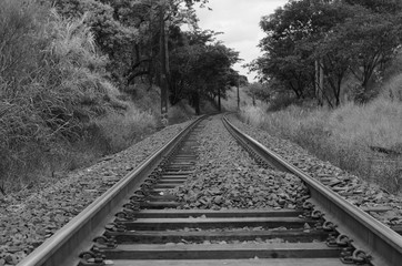 Obraz premium railway in forest