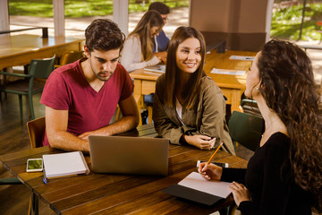 Friends studying together