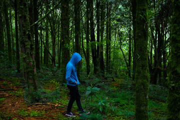 man walking in the forest