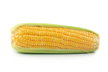 corn isolated on white background