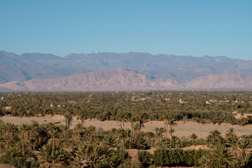 Fototapeta na wymiar Palmen-Oase in Skoura, Hoher Atlas, Marokko