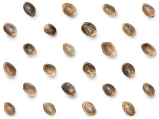 Hemp seeds arranged in a diagonal pattern with shadows for seamless background isolated on white