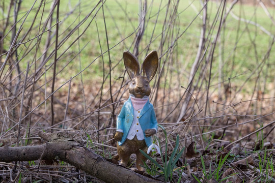 Osterhase mit blauem Frack mit Schneegl&ouml;ckchen im Fr&uuml;hlingswald