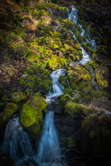 Obraz na płótnie Canvas 温泉の流れる滝