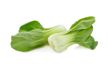 fresh baby bok choy or chinese cabbage on white background