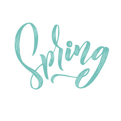 Spring. Trendy script lettering design Spring. - Vector illustration