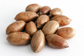 Three pecan nuts and nut splitting tongs, isolated on white back