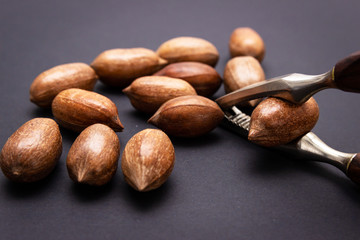 Three pecan nuts and nut splitting tongs, isolated on black back