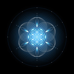 Fantastic sacred geometry; Shiny ancient symbol "flower of life" on black background; Psychedelic vector illustration.