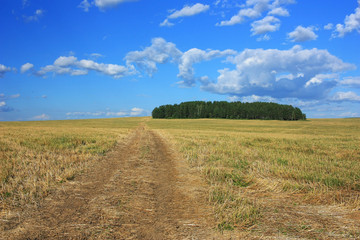 Fototapeta na wymiar Country dirt empty road in the field