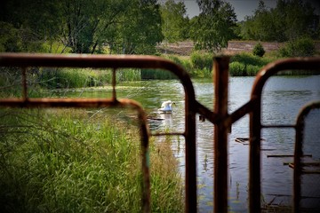 Tschernobyl River Pripyat Port