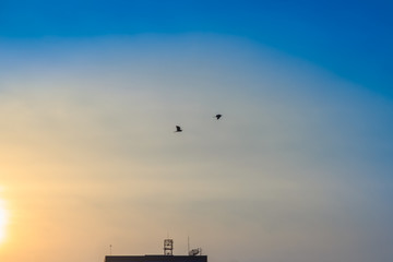 Orange sunset sky over building background. Yellow sky background during sunset.