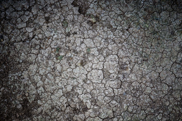 Beautiful texture of cracked dry ground in the countryside background.