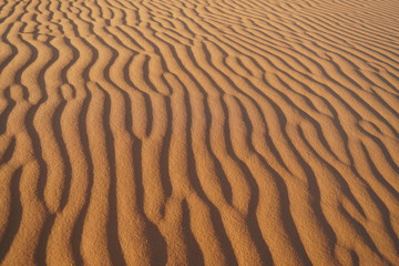 wellenförmiger Wünsten-Sand, Sahara