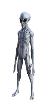 Illustration of an gray alien being on a white background