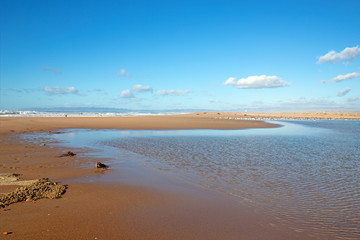 Drying seagrass and kelp on isthmus of sand between Pacific ocean and the Santa Maria river at the Rancho Guadalupe Sand Dunes Preserve on the central coast of California United States