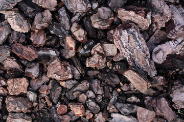 wood texture, coal, nature, background, textured