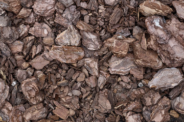 background from wooden pieces of natural color. structural background