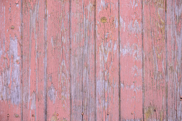 Blue wood texture as background. Background from old boards. Cracked paint.