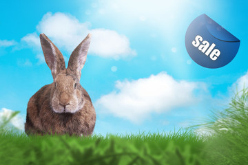 Osterhase auf einer grünen Wiese. Eier.