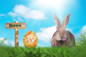 Osterhase auf einer grünen Wiese. Ostern.
