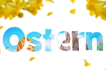 Osterhase auf einer grünen Wiese. Ostern.