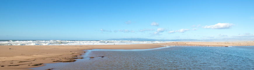 Drying seagrass and kelp on isthmus of sand between Pacific ocean and the Santa Maria river at the Rancho Guadalupe Sand Dunes Preserve on the central coast of California United States