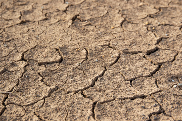 Beautiful texture of cracked dry ground in the countryside background.