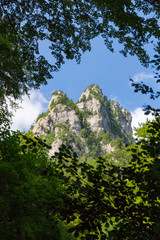 Two mountain peaks seen from a natural frame of leaves and tree branches, while hiking on a mountain trail, on a bright Summer day, in Bucegi (Carpathian) mountains, Romania.