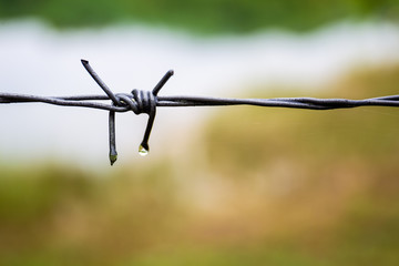 barbed wire close up with nature blurred background.