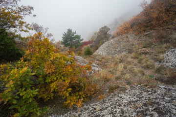 Mount Demerdzhi in autumn, beautiful views of Mount Demerdzhi, Crimea