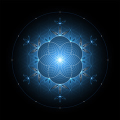 Fantastic sacred geometry; Shiny ancient symbol "flower of life" on black background; Psychedelic vector illustration.
