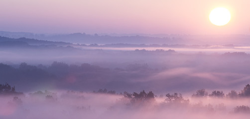 Fototapeta premium sonnenaufgang, nebel, wald