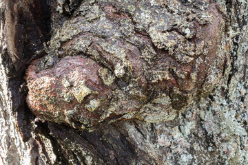 Texture de divers matériaux métal bois béton tissus couleur cuir papier abstrait	