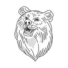 Hand drawn oldschool illustration of bear. Isolated on white background.